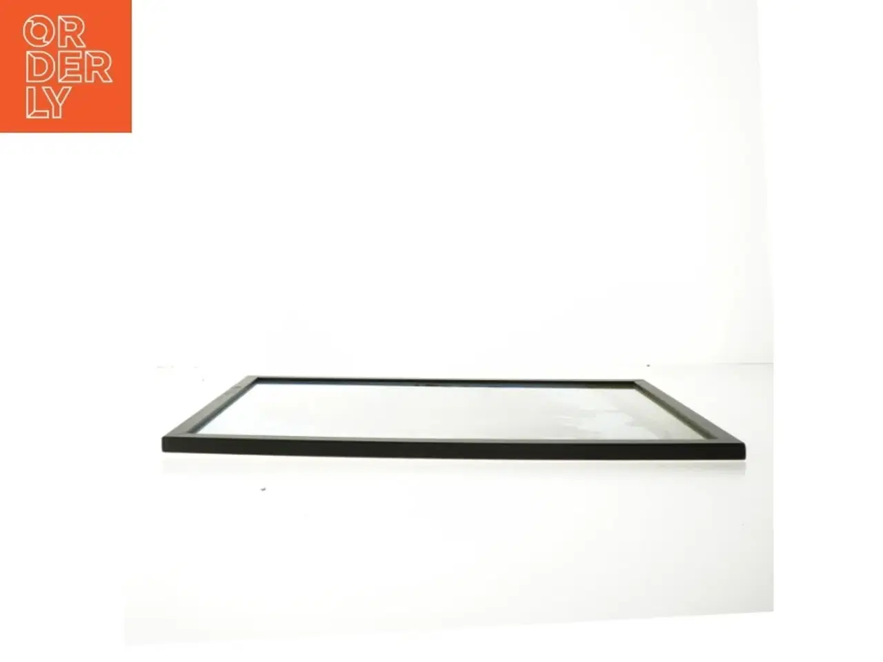 Billede 3 - Plakat med træmotiv fra Posterland (str. 30x42 cm)