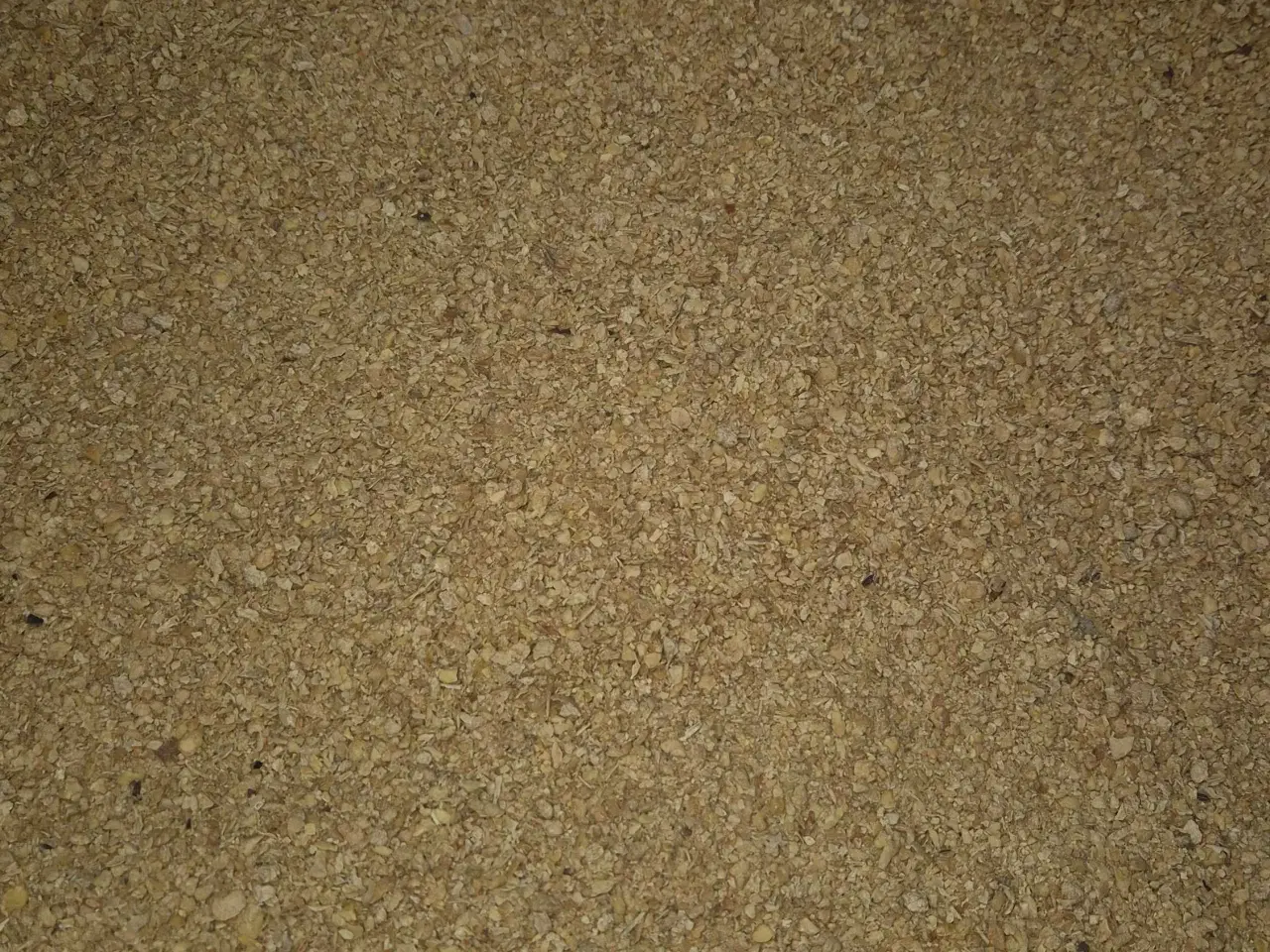 Billede 3 - GMO Sojaskrå