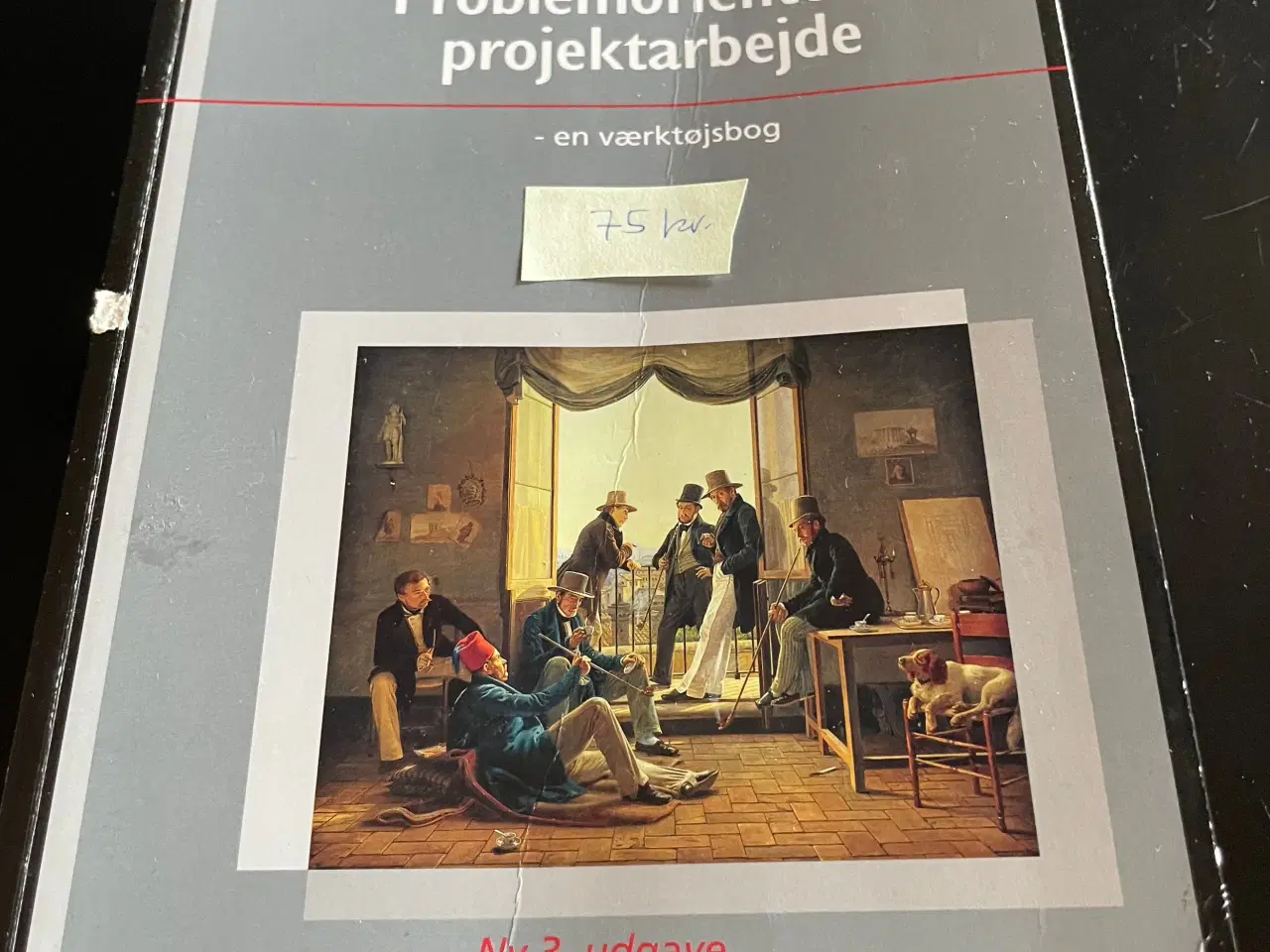 Billede 1 - Problemorienteret projektarbejde