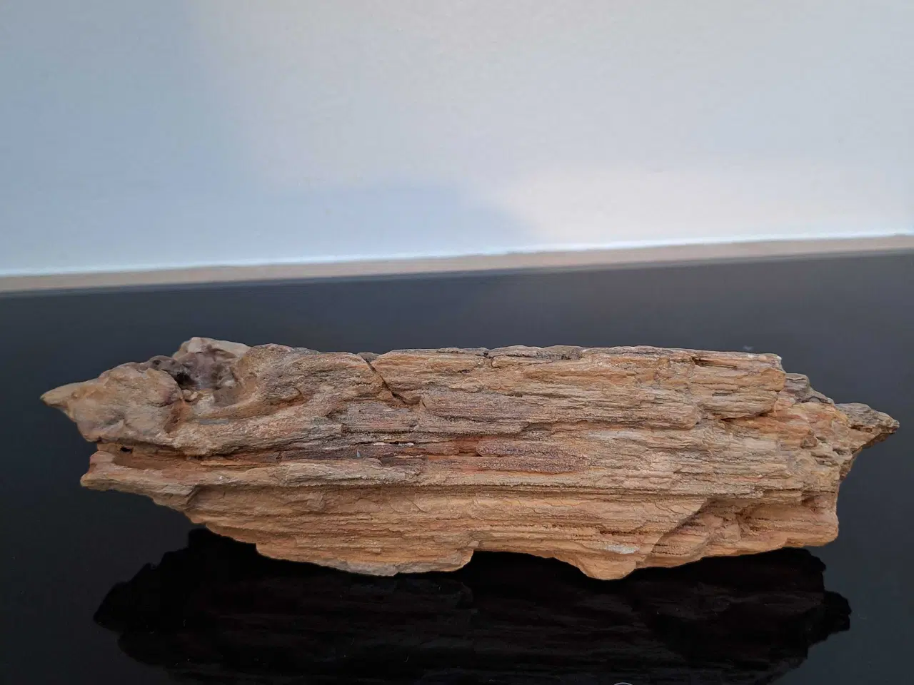 Billede 4 - Forstenet træ