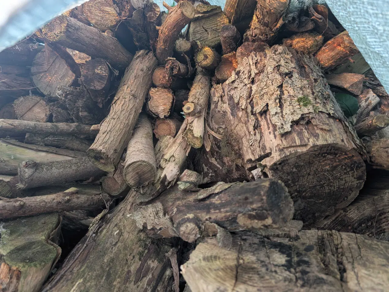 Billede 8 - Savet træ til brænde