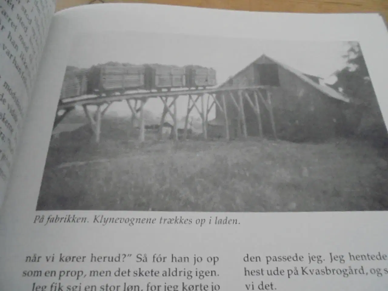 Billede 9 - Fuglsø mose og Horsemosen  ”Arbejdere i det røde h