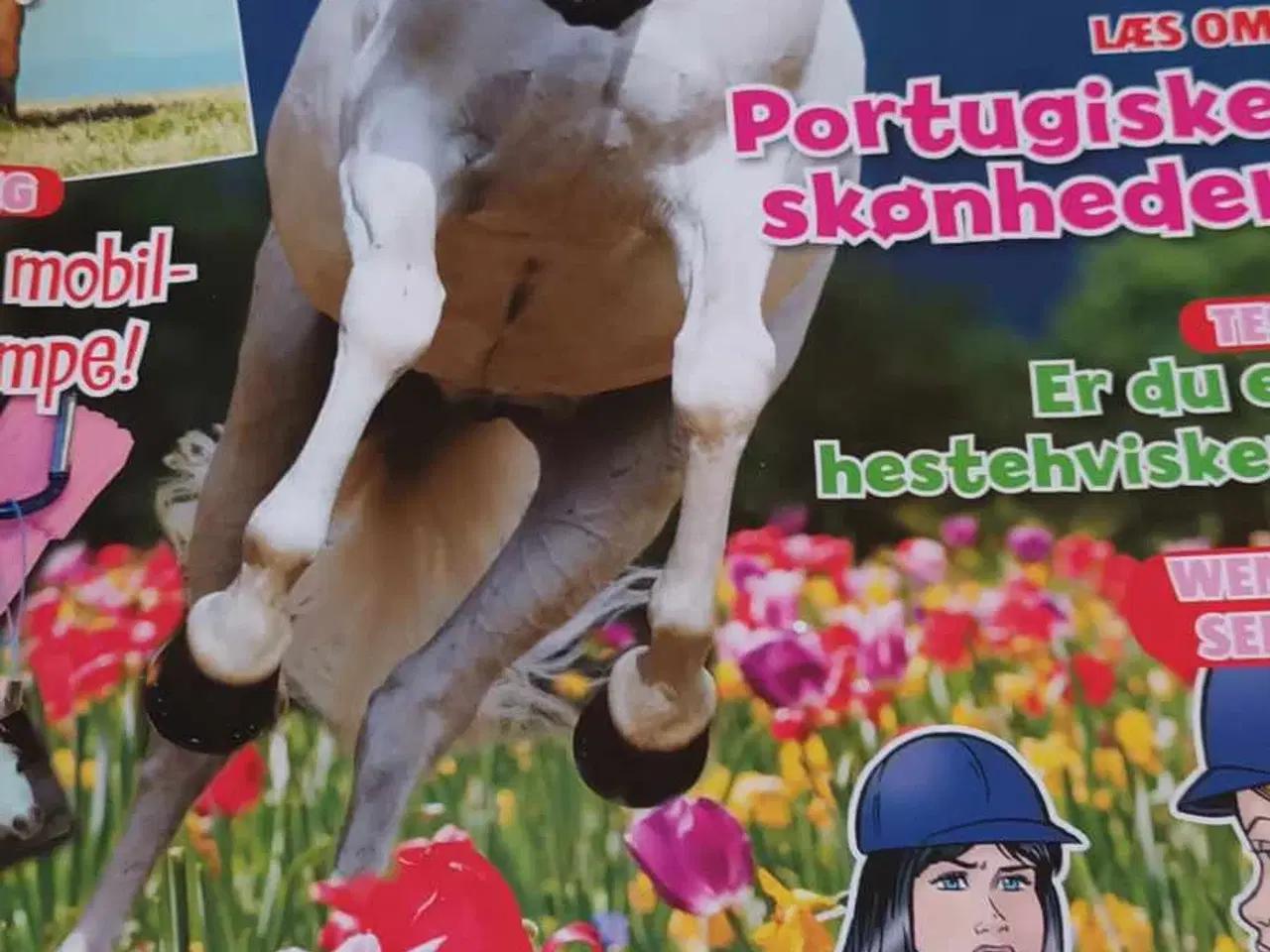 Billede 6 - Wendy Blad.