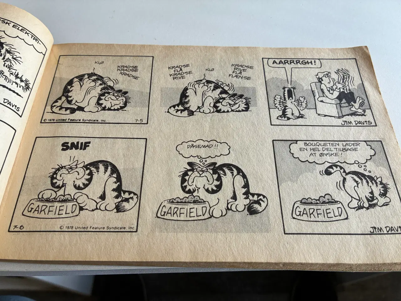 Billede 3 - Garfields første år