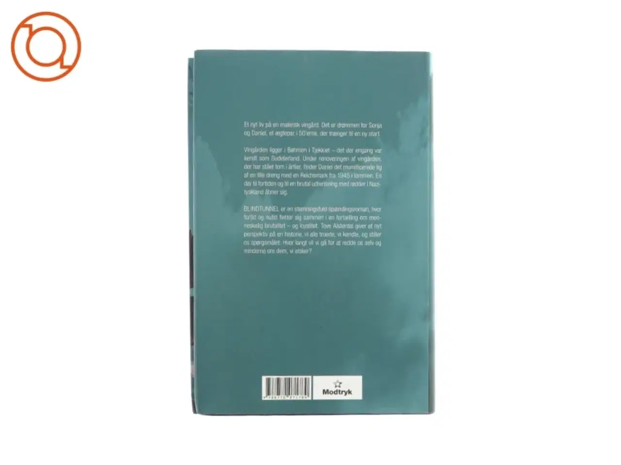 Billede 2 - Blind-tunnel af Tove Alsterdal (bog)