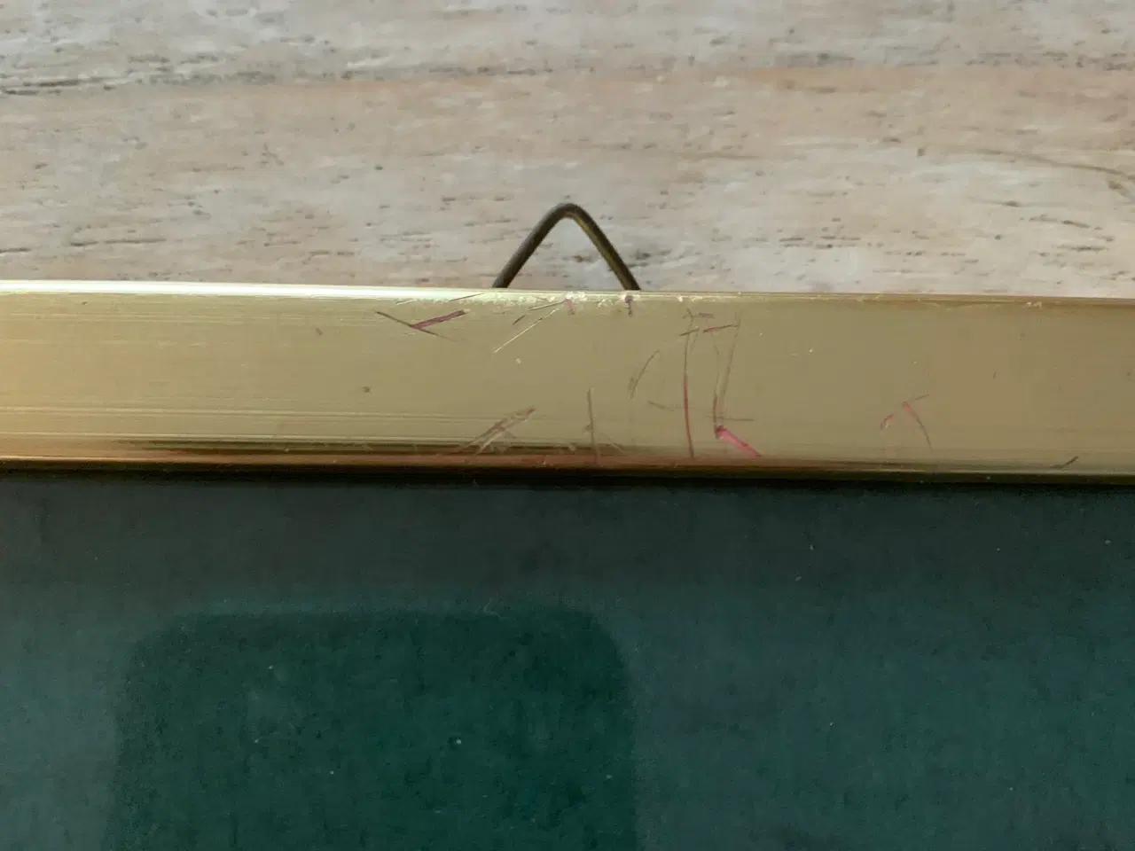 Billede 5 - Flora Danica - Tandbæger