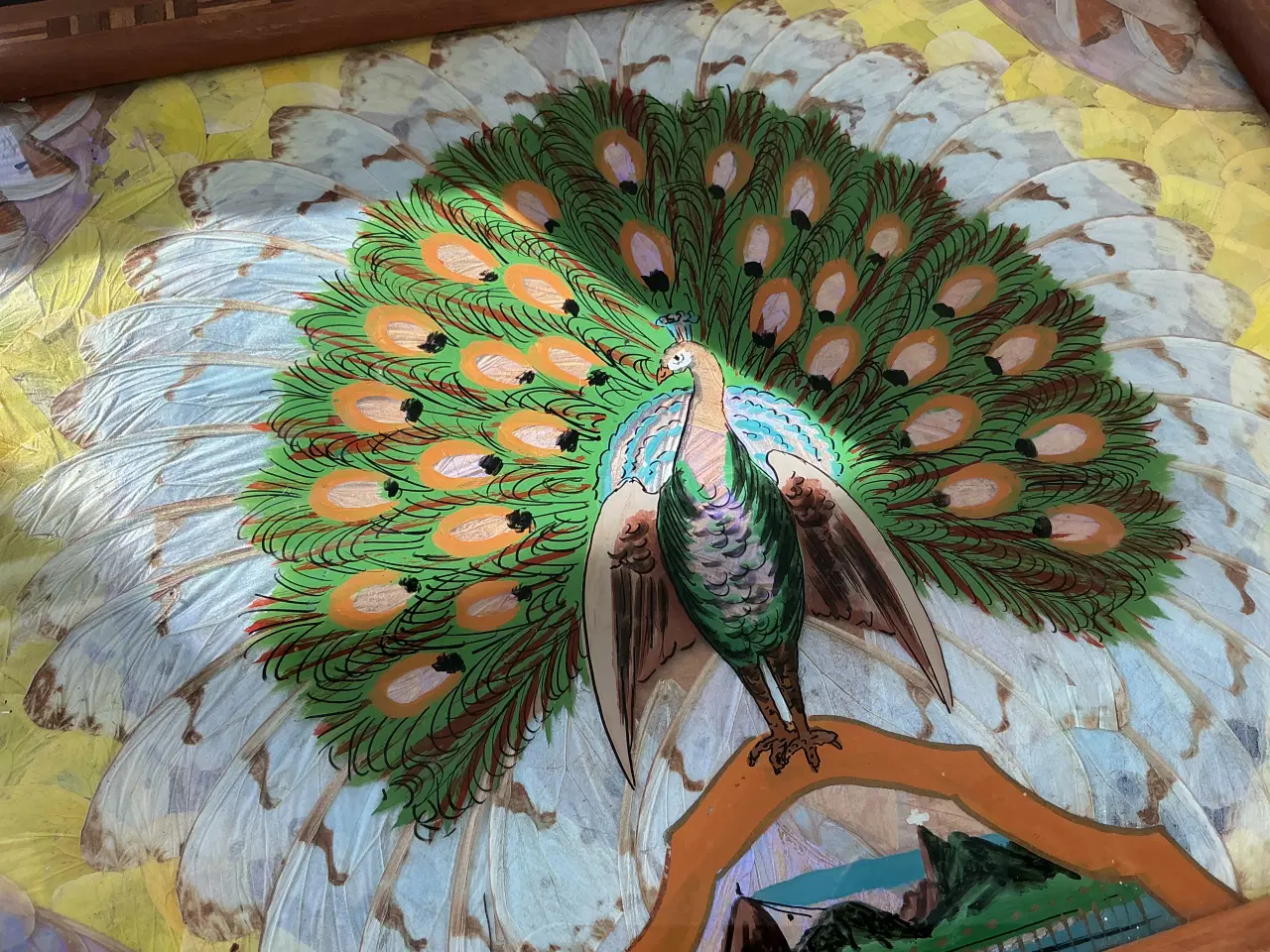 Billede 5 - Sommerfuglebakke