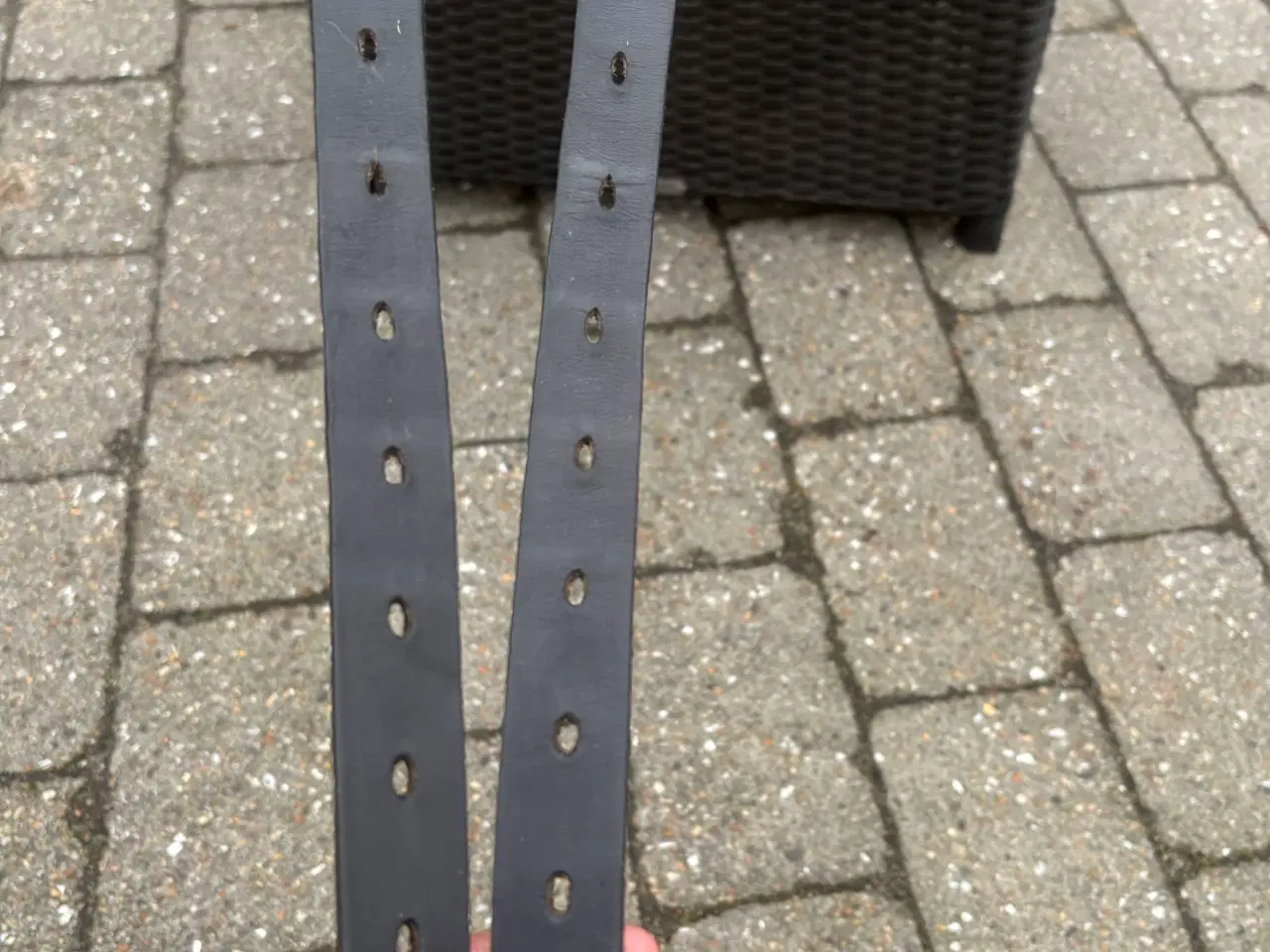 Billede 4 - Eques Forma 16”