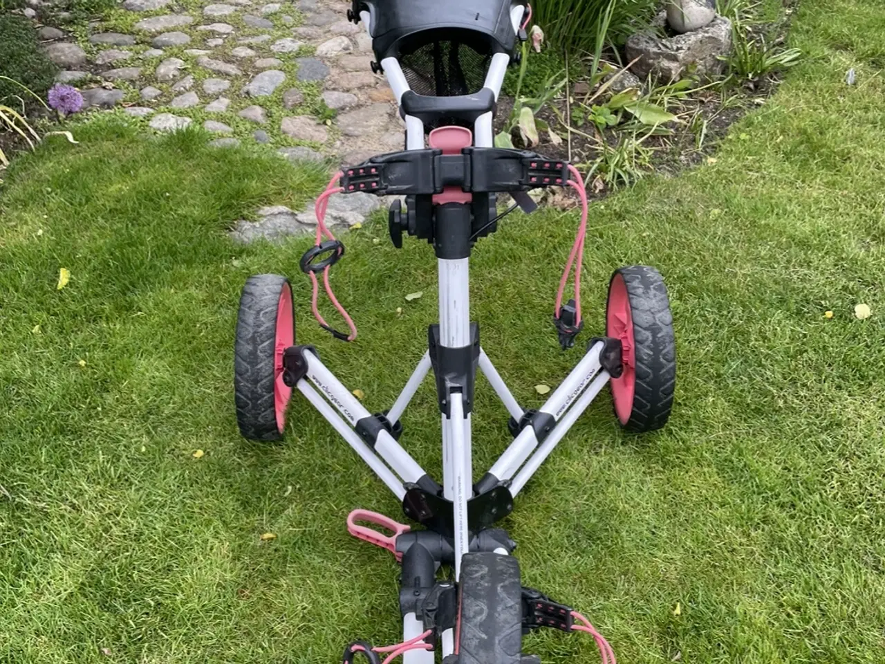 Billede 4 - sport