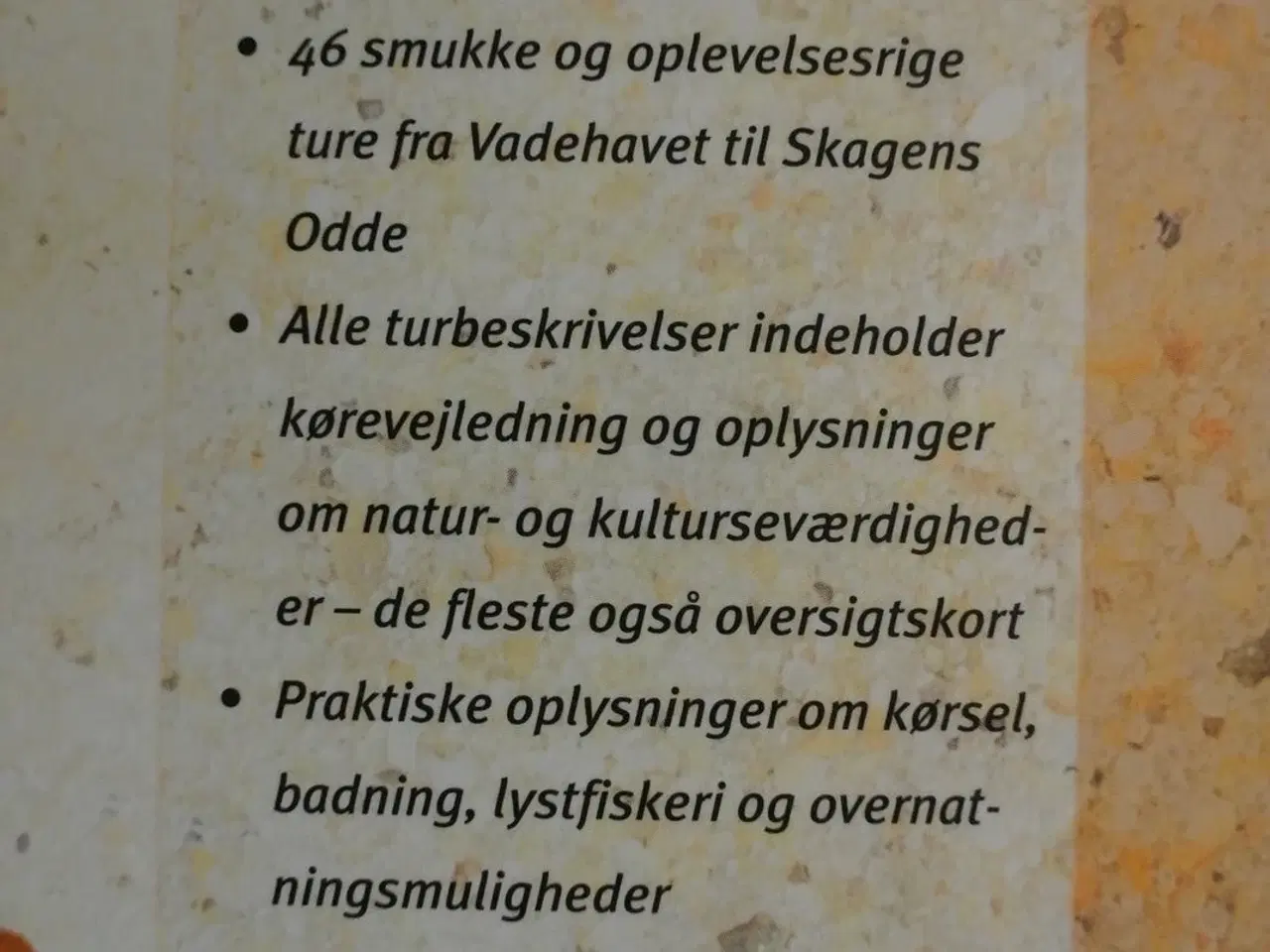 Billede 4 - jyllands vestkyst, af jens justesen, emne: natur o