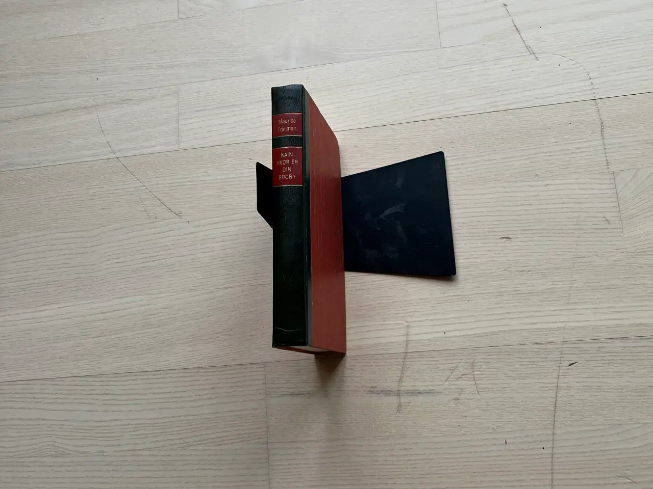 Billede 1 - Kain - hvor er din bror? - af Maurice Edelman