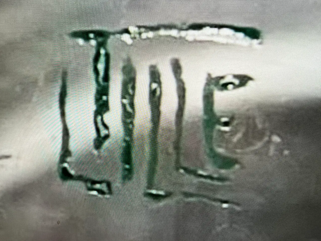 Billede 1 - Lille Glasskål med grønne blade mønster