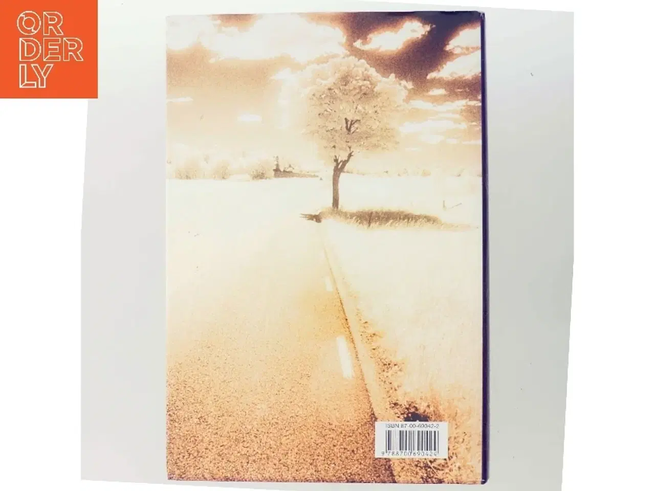 Billede 3 - Lewis rejse : roman af Per Olov Enquist (Bog)