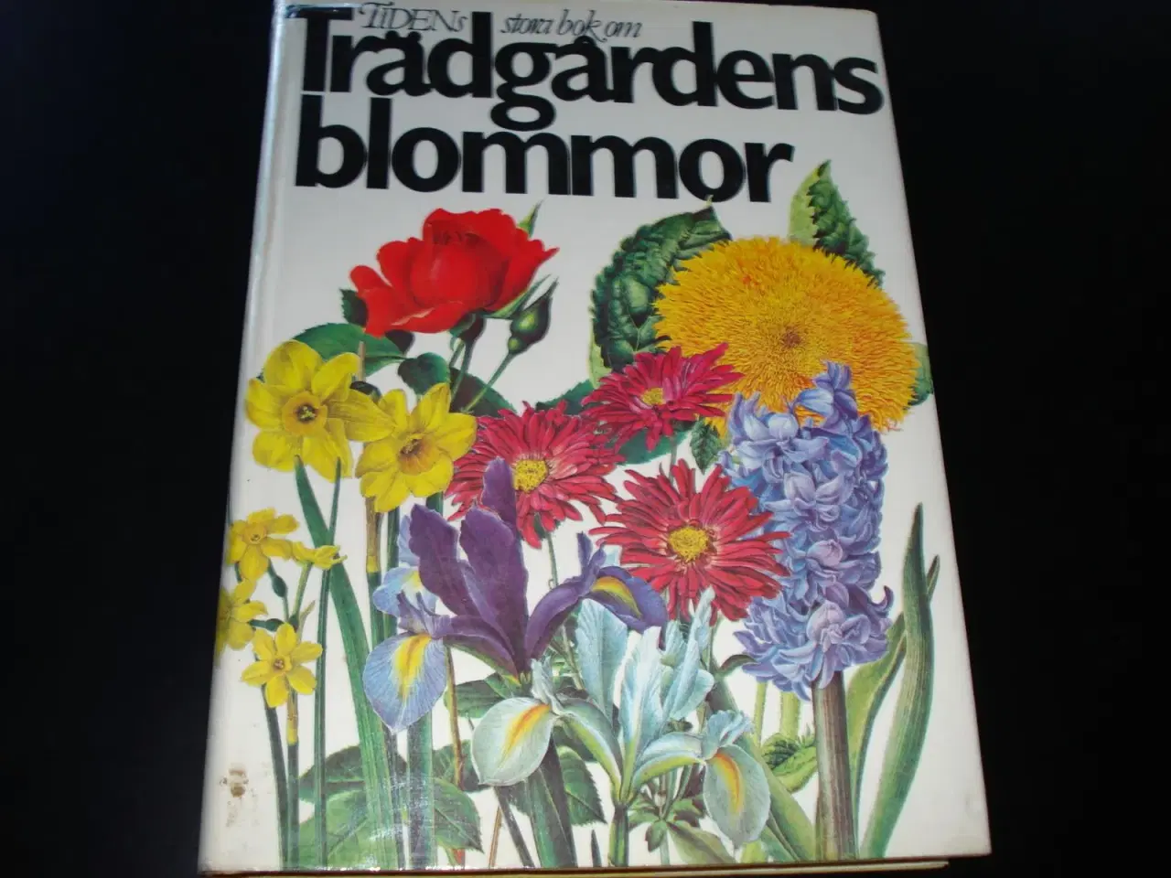 Billede 1 - Trädgårdens blommor