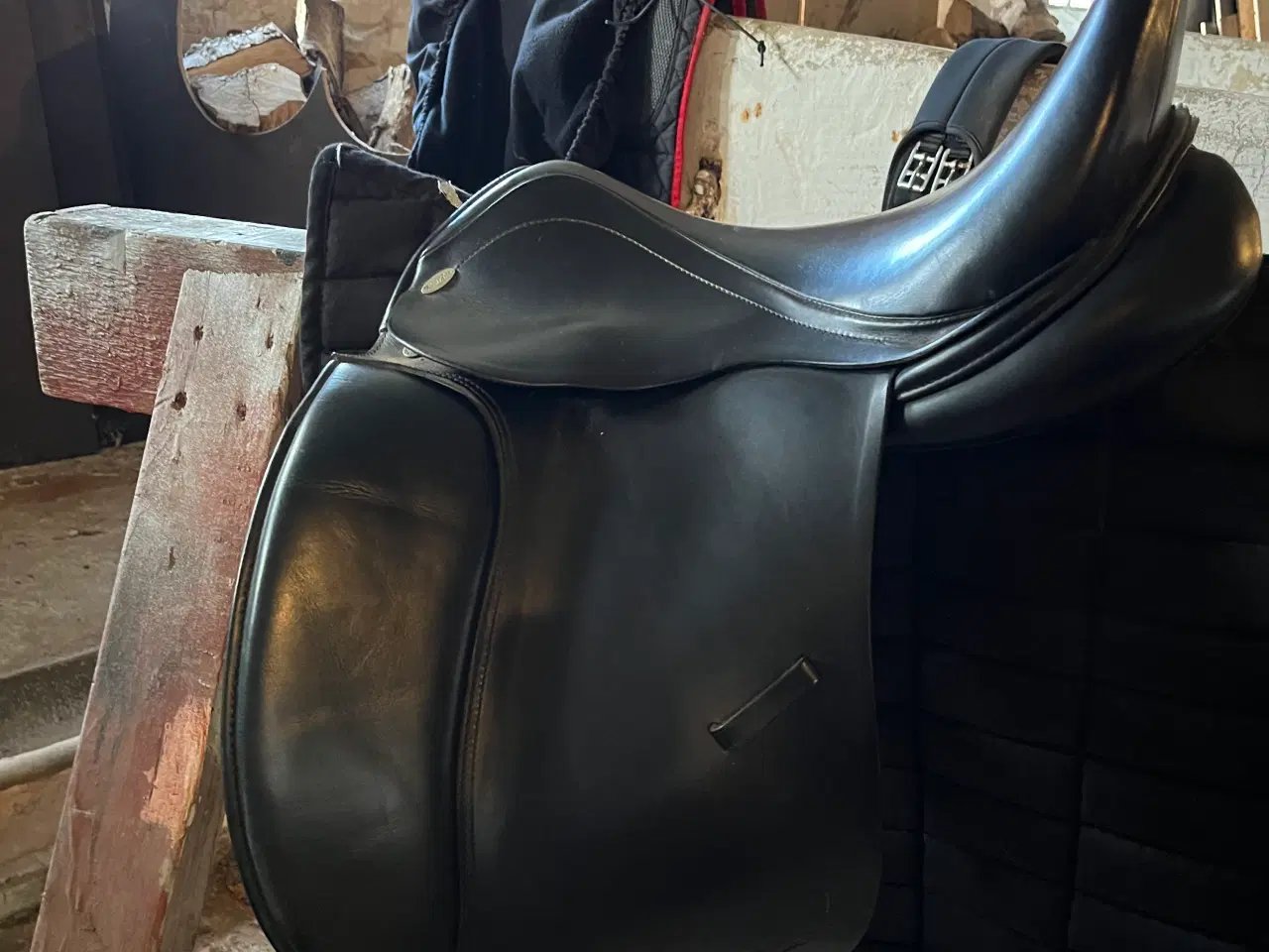 Billede 13 - Ken Taur young dressage 16”