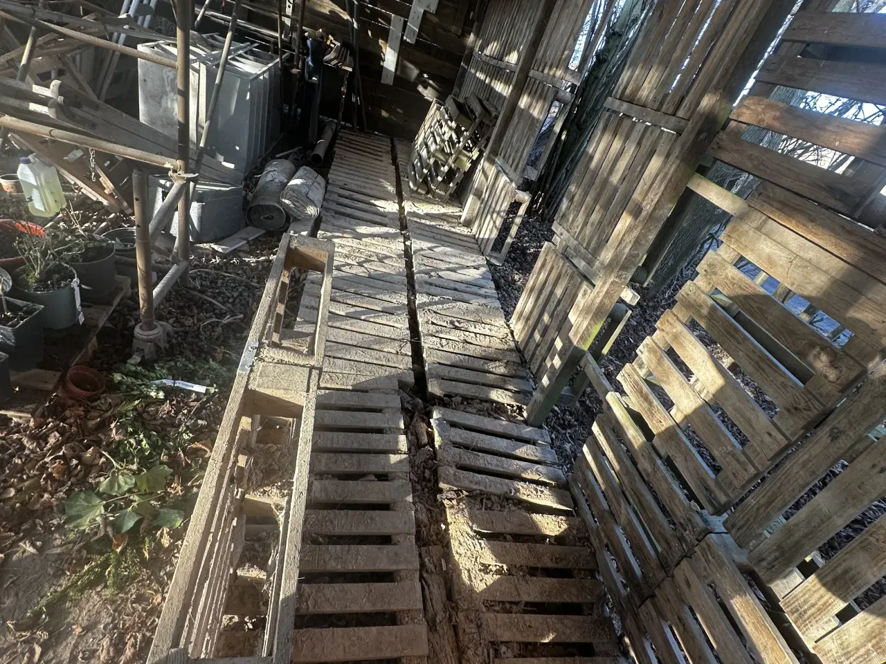 Billede 1 - Tørre engangspaller.