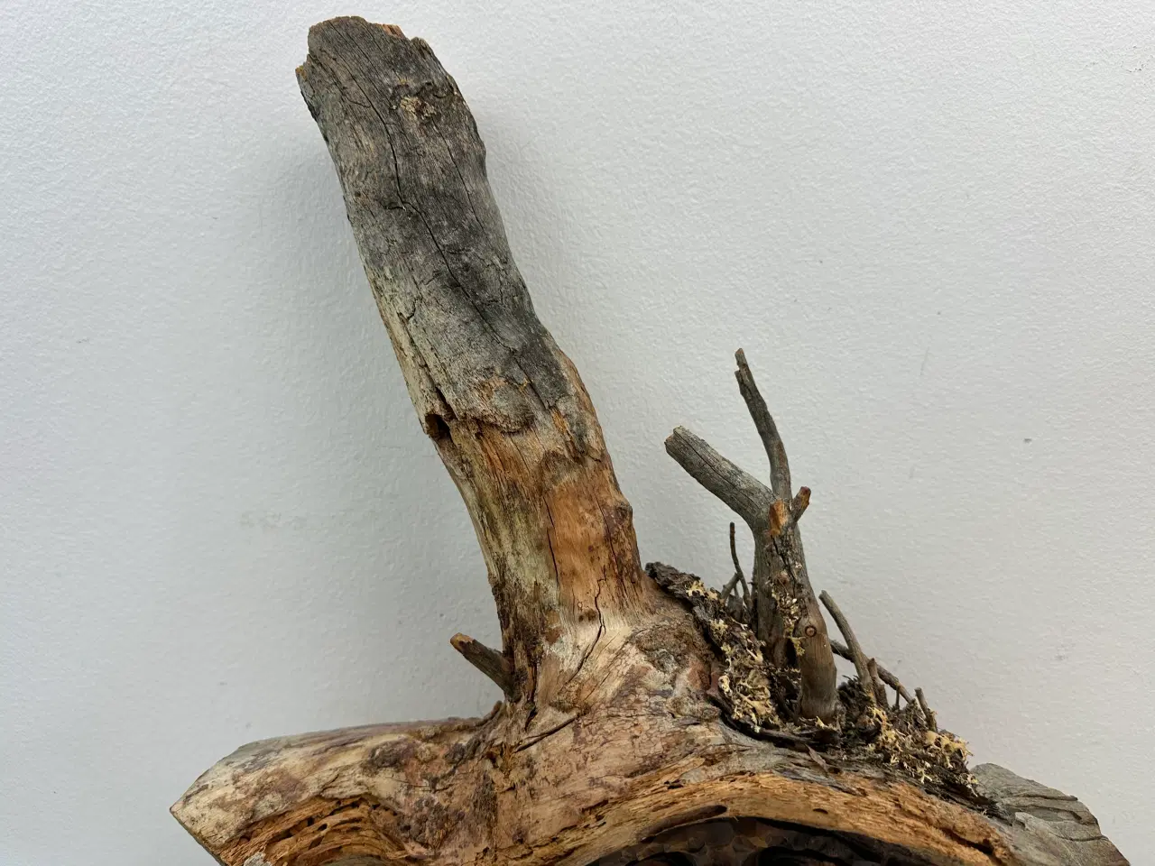 Billede 4 - Unik træmaske af træstub