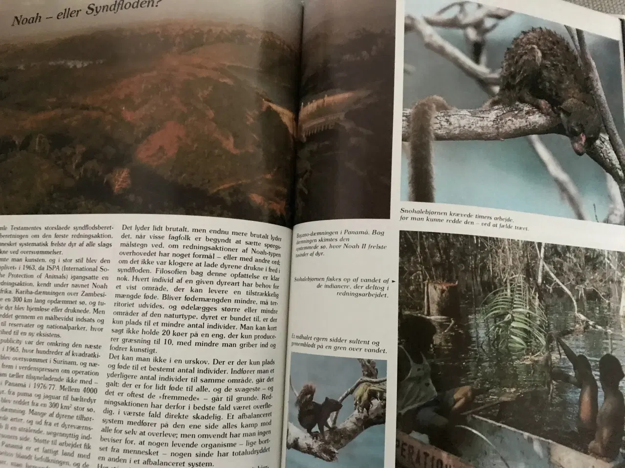 Billede 19 - 4 stk. Naturårsbøger