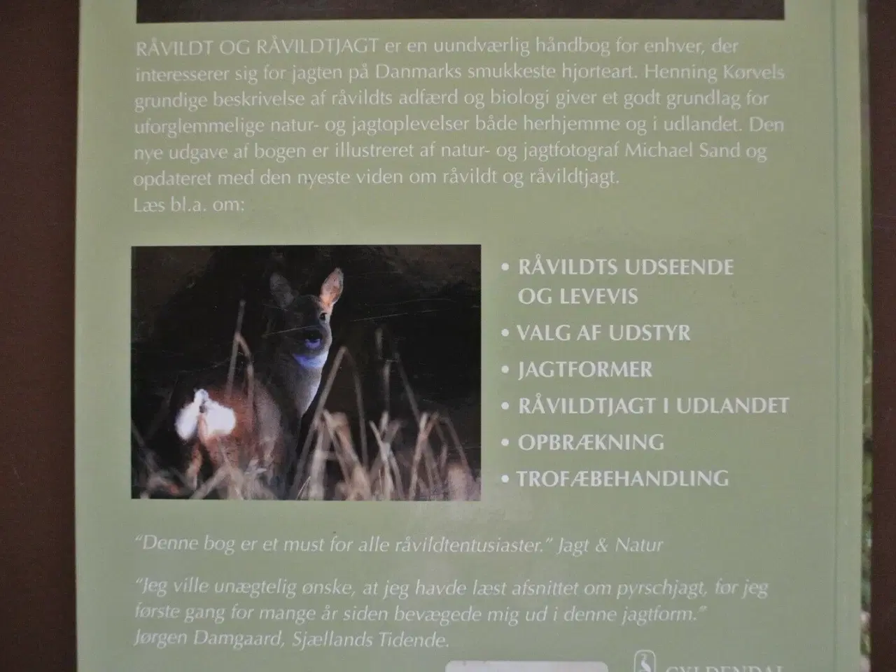 Billede 4 - råvildt og råvildtjagt, af henning kørvel, emne: j