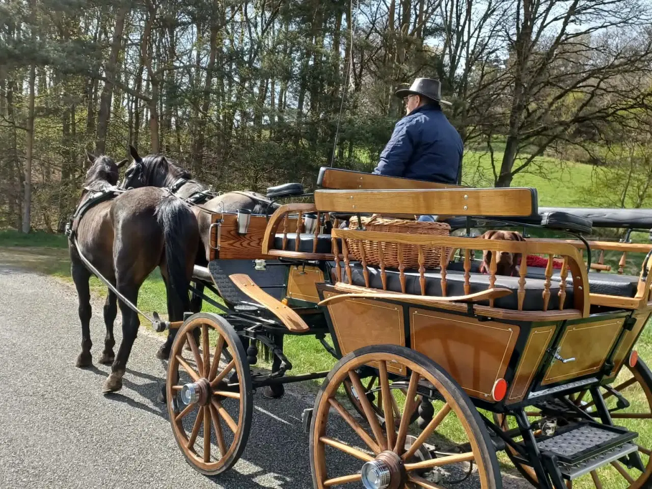 Billede 2 - Hestevogn , wagonette