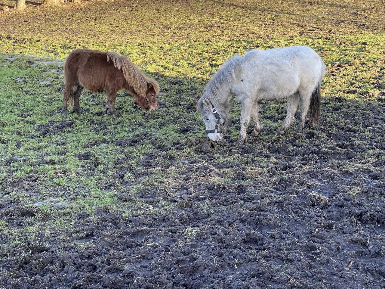 Billede 1 - Mini knapstrupper 