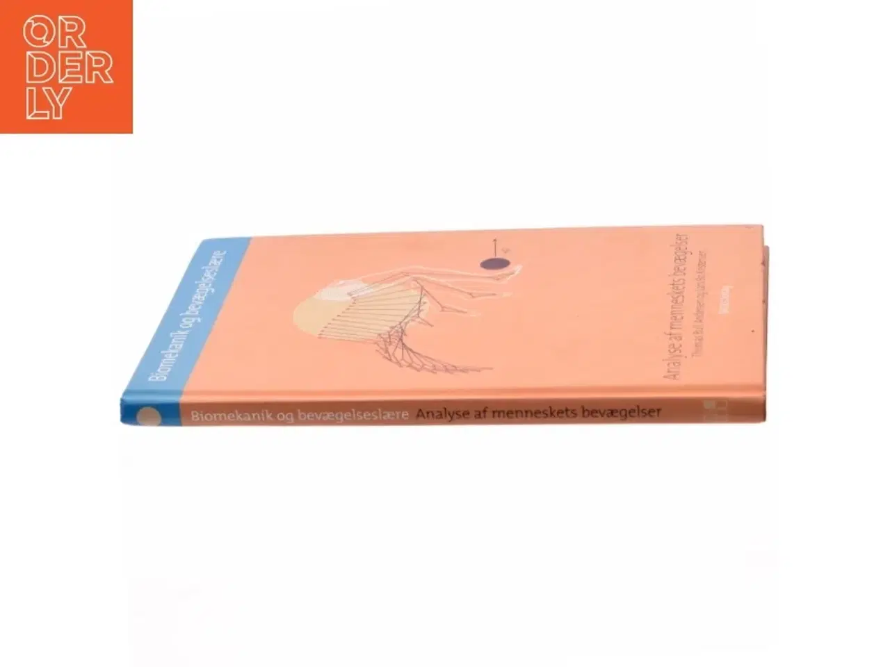 Billede 2 - Biomekanik og bevægelseslære (Bog)