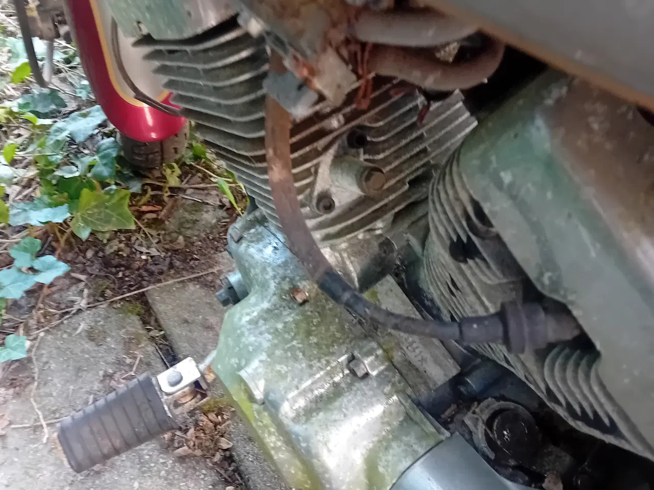 Billede 7 - Ledow Borelli