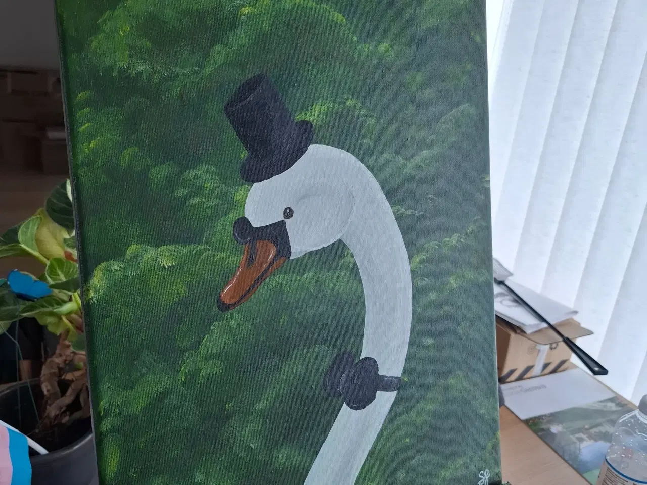 Billede 2 - Mr. Swan