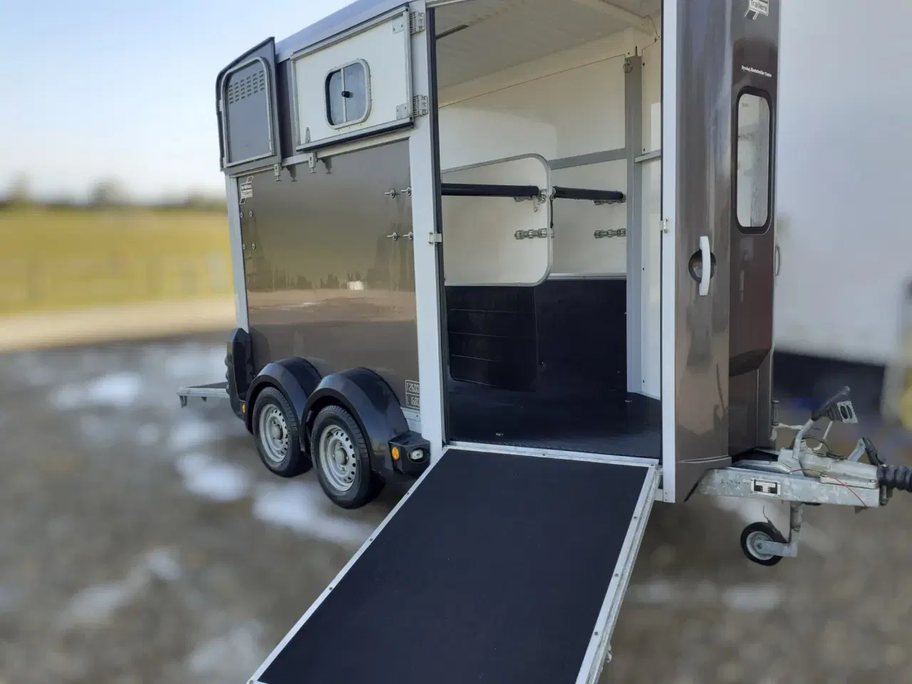 Billede 6 - Ifor Williams HB 506 Hestetrailer år 2010