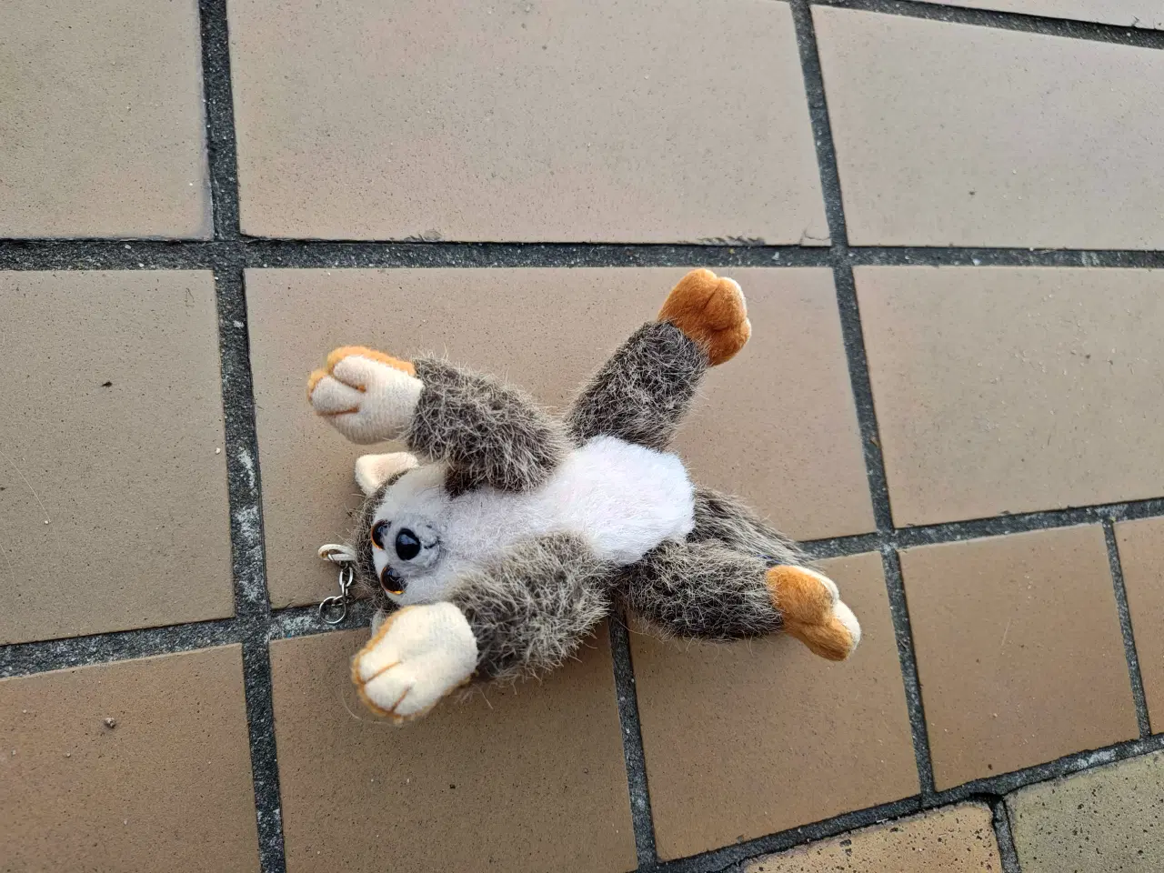 Billede 1 - Lille Læsefidusen bamse