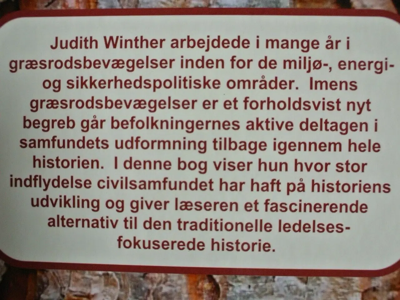 Billede 3 - civilsamfundets udvikling og historie, af judith w