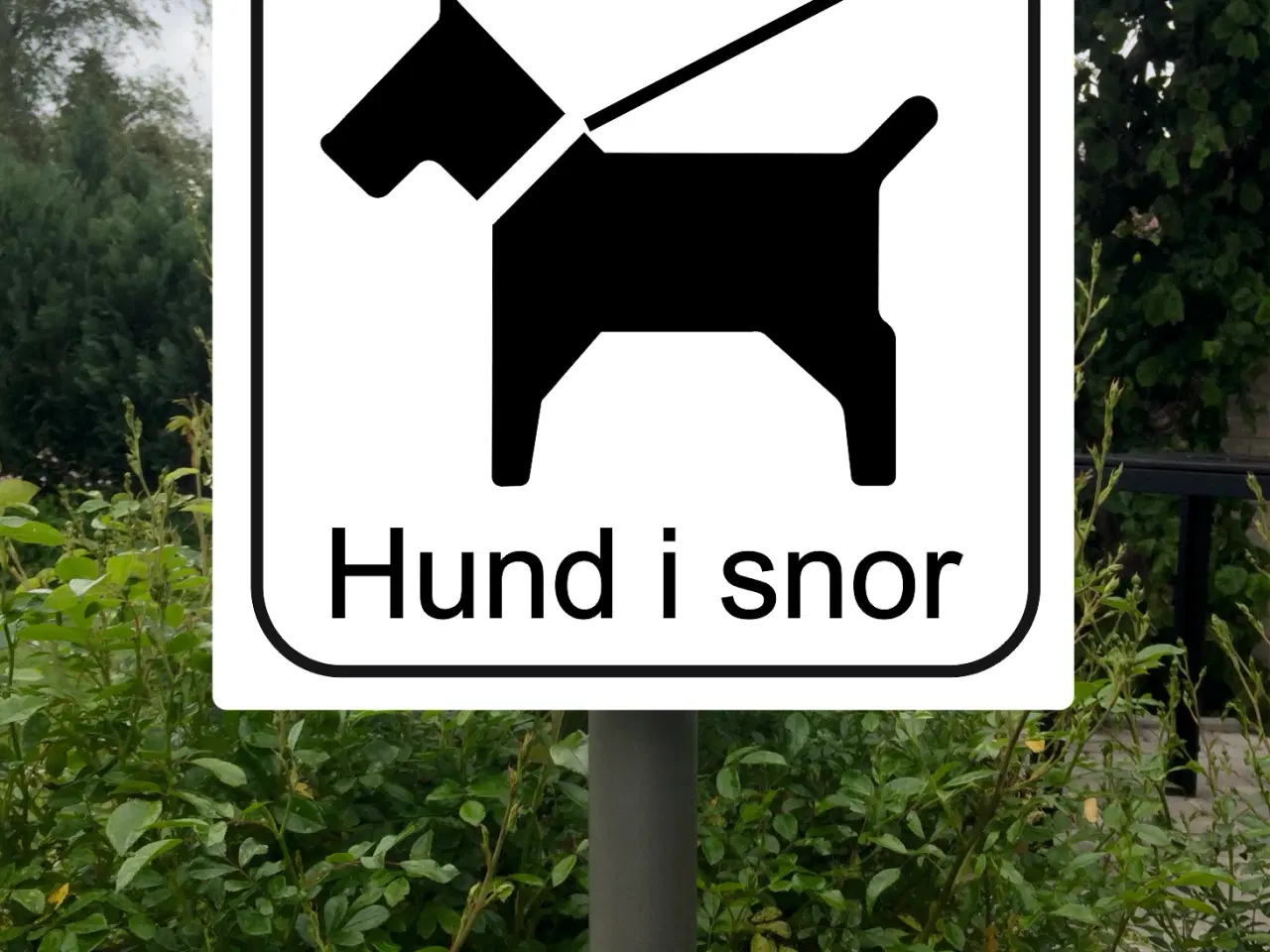 Billede 1 - Skilte "Hund i snor" "Saml op efter din hund" m.m.