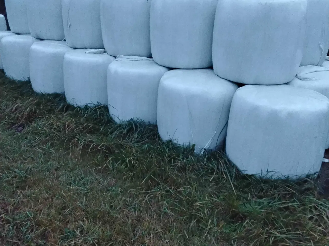 Billede 4 - Wrapballer & Hø sælges