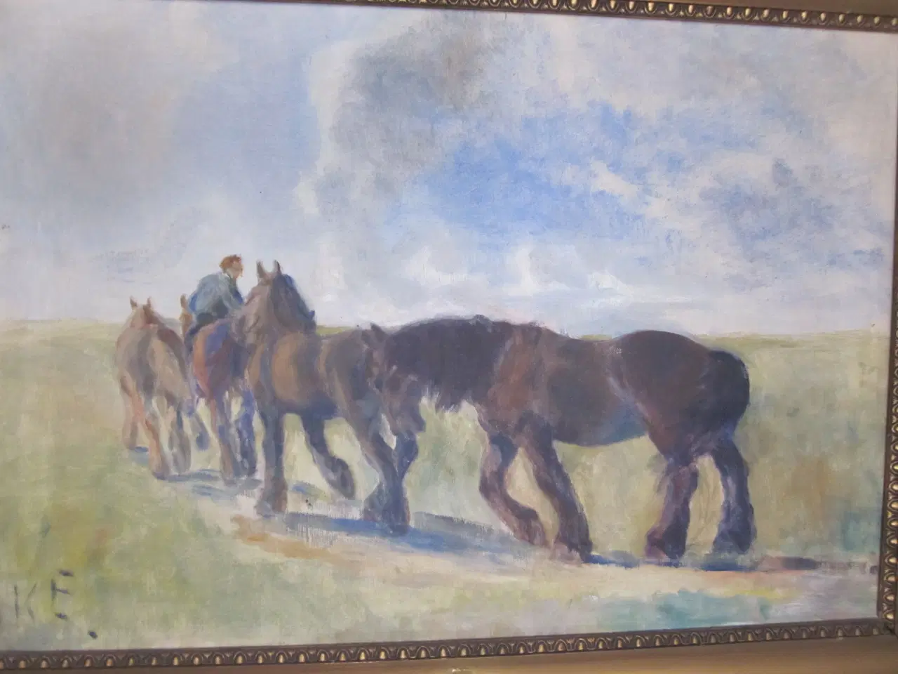 Billede 4 - Forskellige skønne billeder