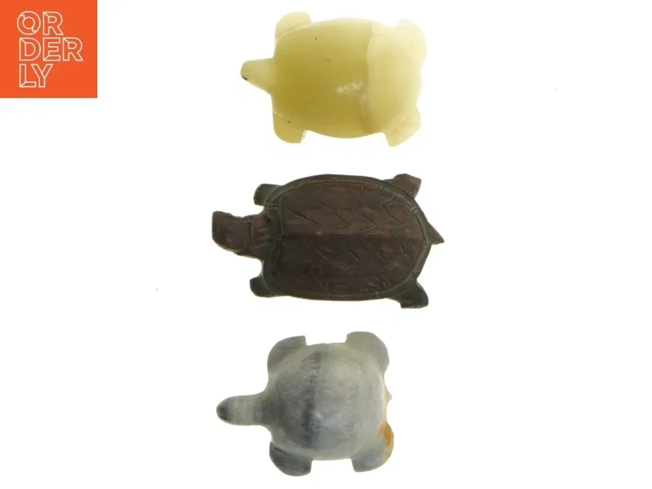 Billede 1 - sten skildpadder (str. 5-7 cm)