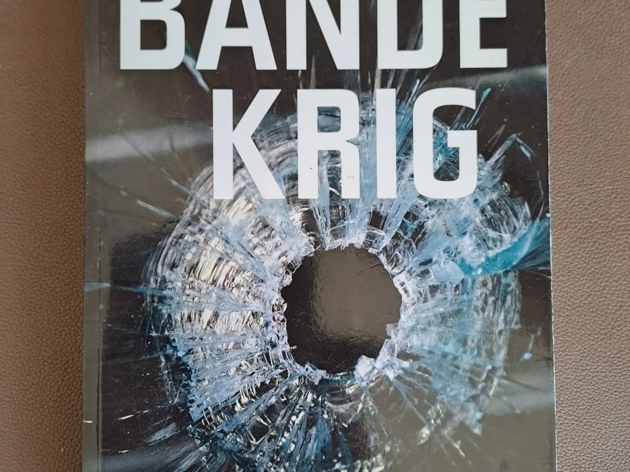 Billede 9 - 10 stk. Rocker bøger sælges samlet