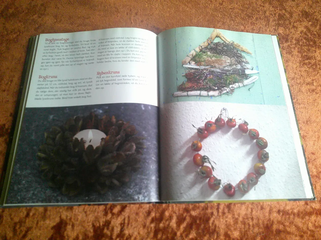 Billede 5 - Børnenes naturbog, Trine Sørensen