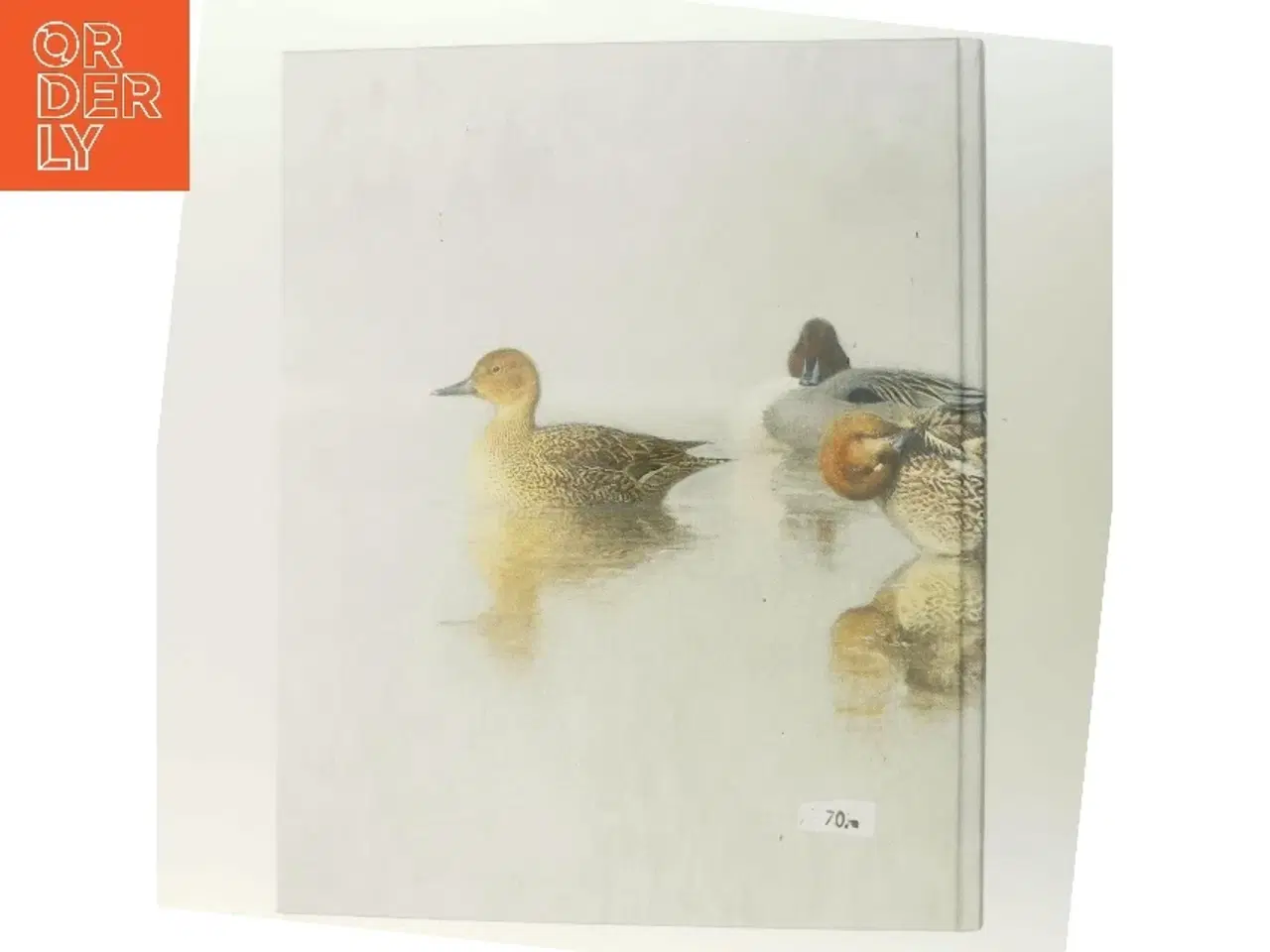 Billede 3 - Where Heaven and Earth Touch af Lars Jonsson (Bog)