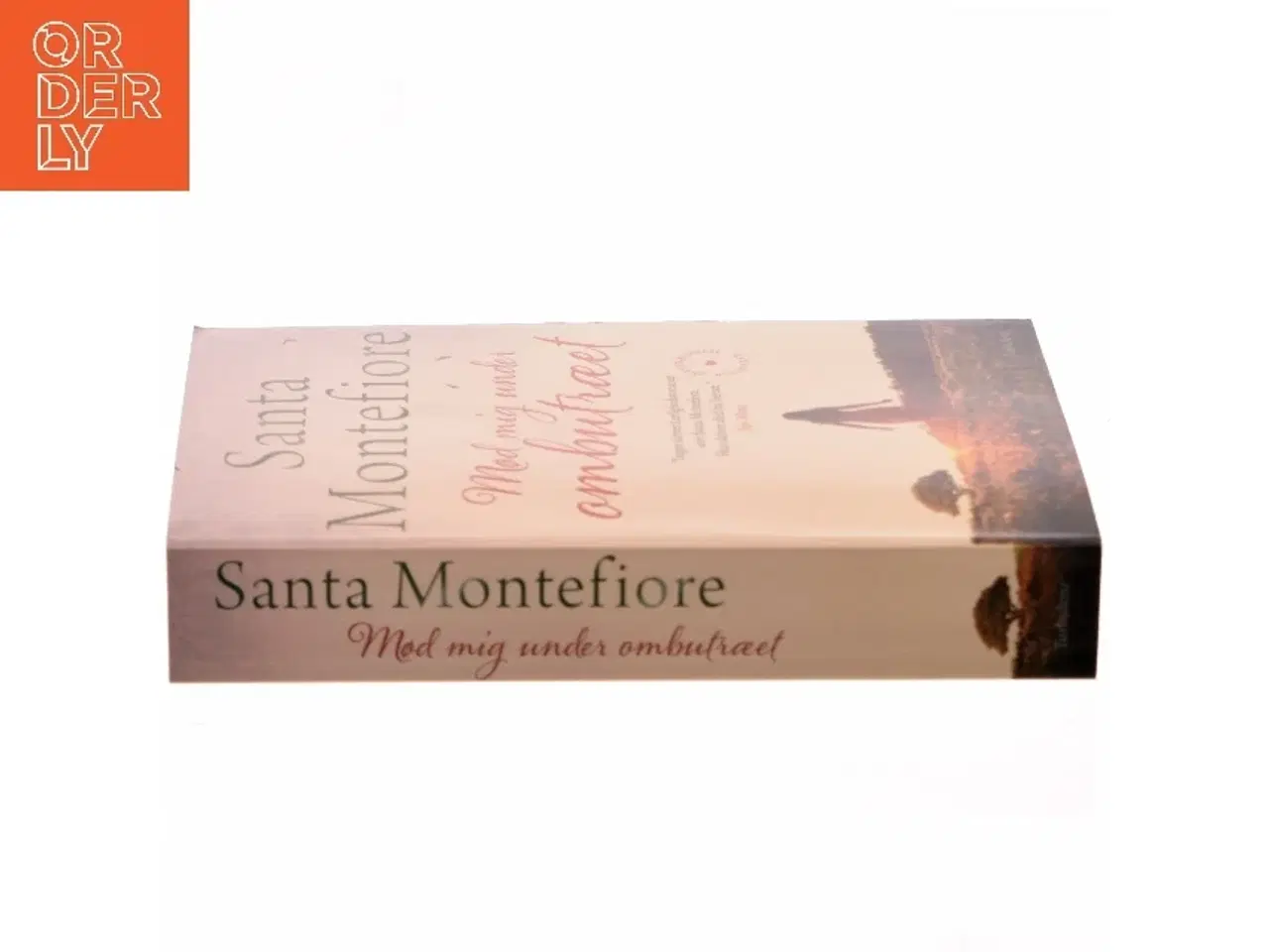 Billede 2 - Mød mig under ombutræet af Santa Montefiore (Bog)