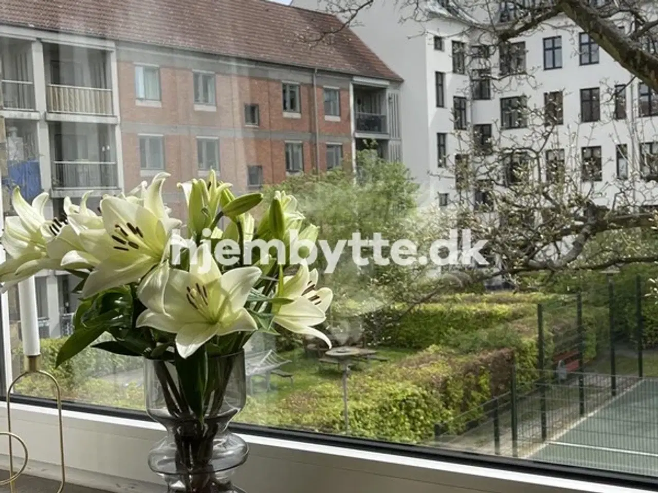 Billede 5 - Hjembytte - Tømrergade