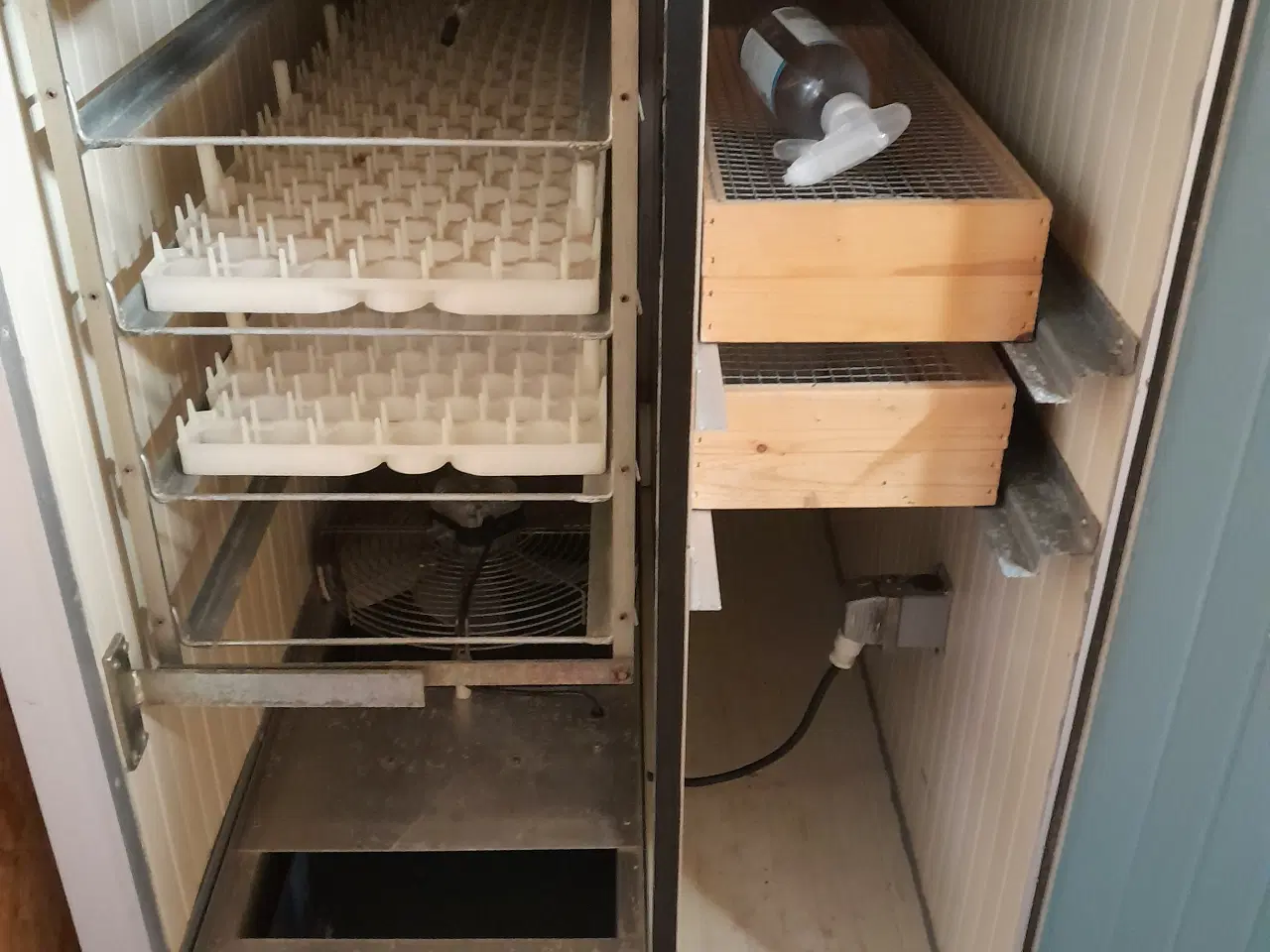 Billede 4 - rugemaskine med integreret klækker