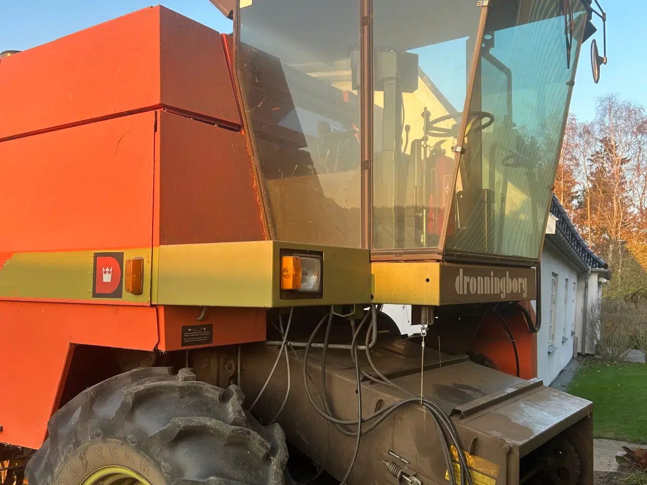 Billede 1 - Majetærsker 