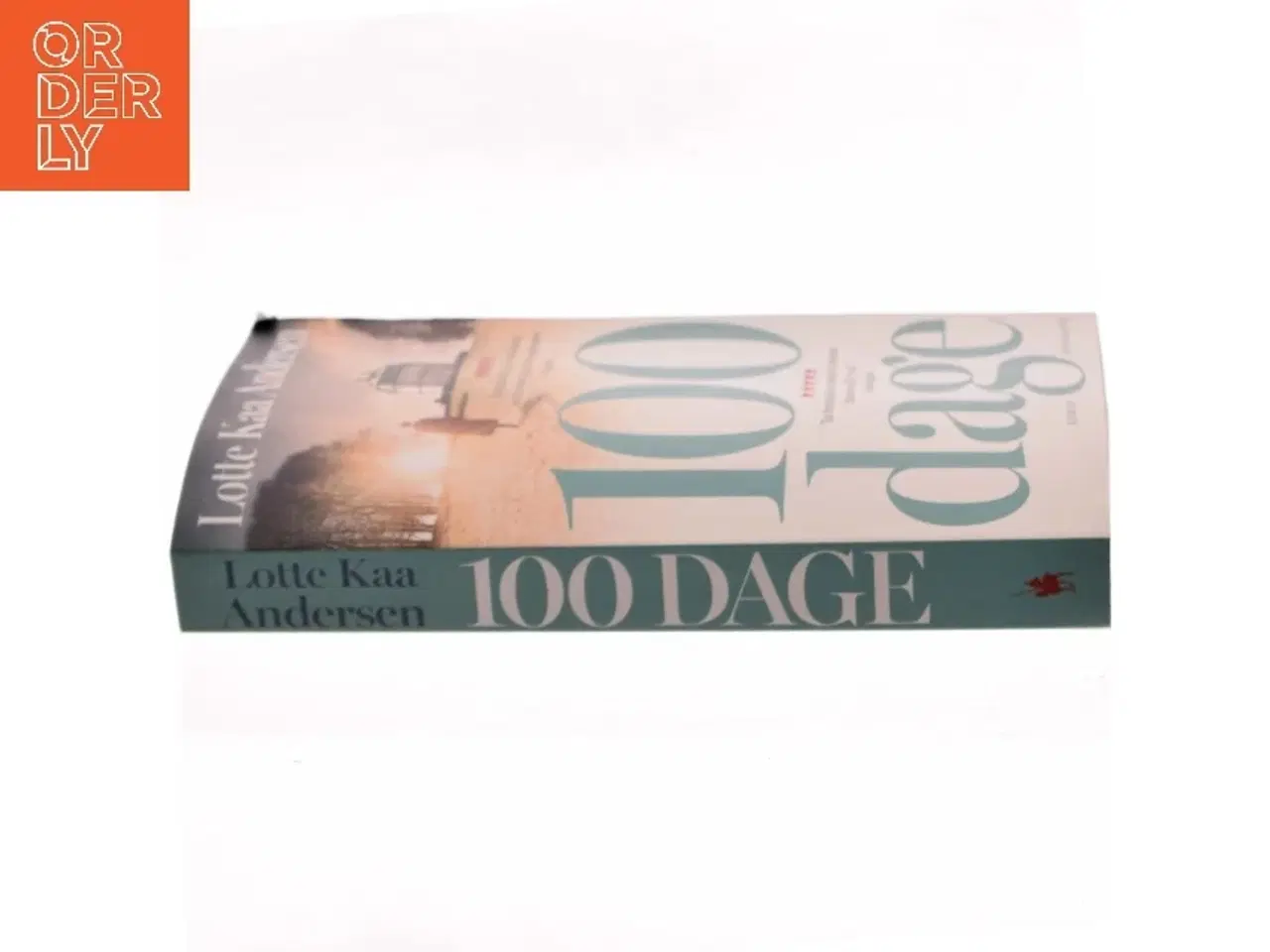 Billede 2 - 100 dage : roman af Lotte Kaa Andersen (Bog)