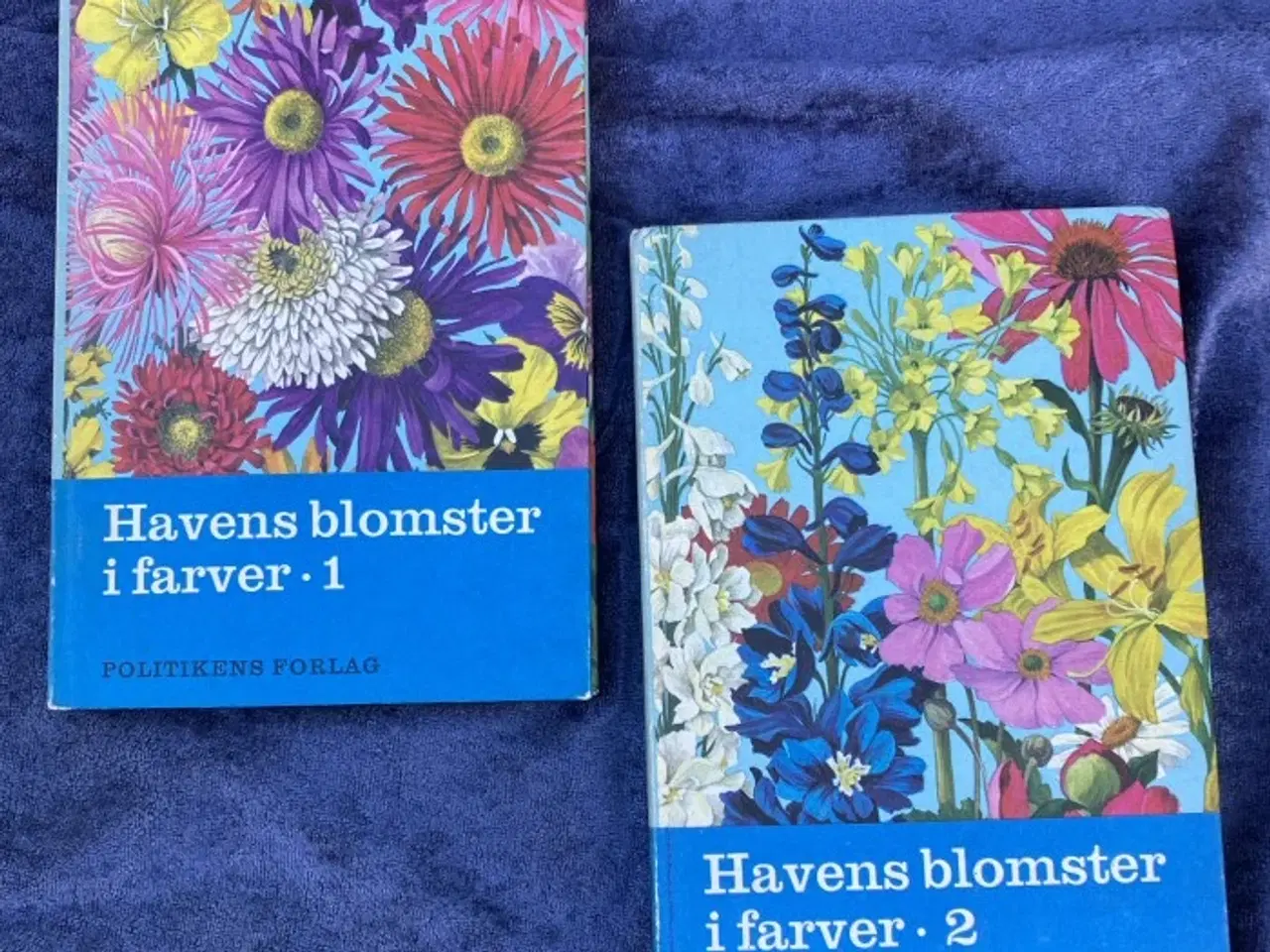Billede 1 - Havens blomster i farver 1-2