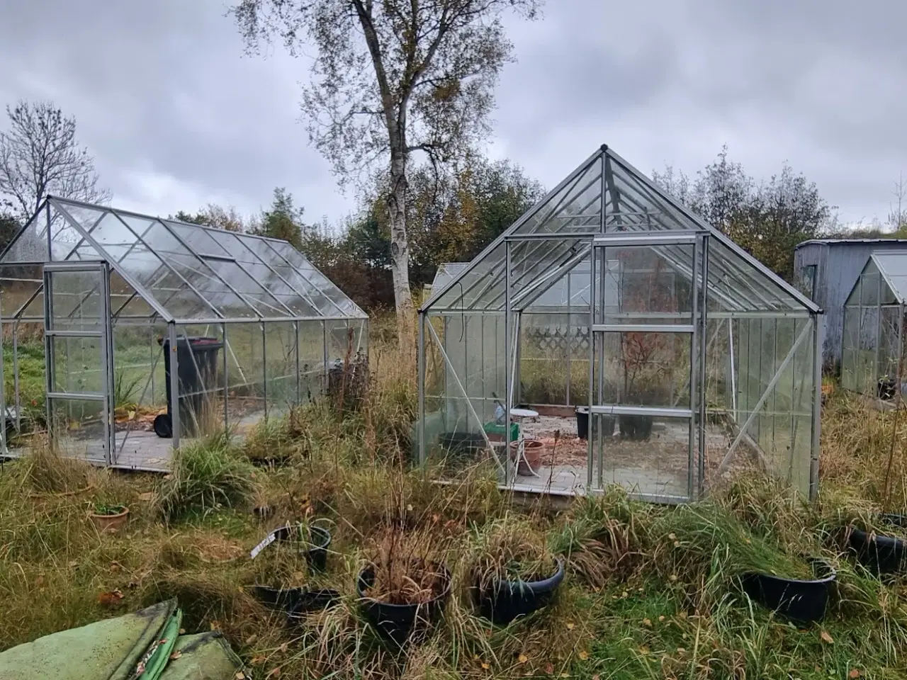 Billede 2 - Drivhuse 2 stk