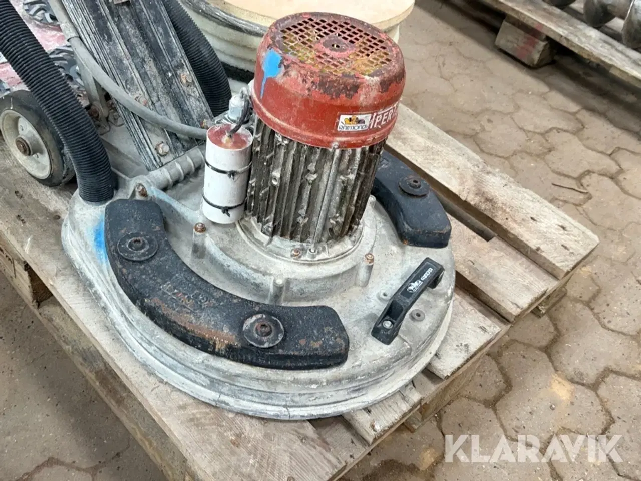 Billede 5 - Raimondi