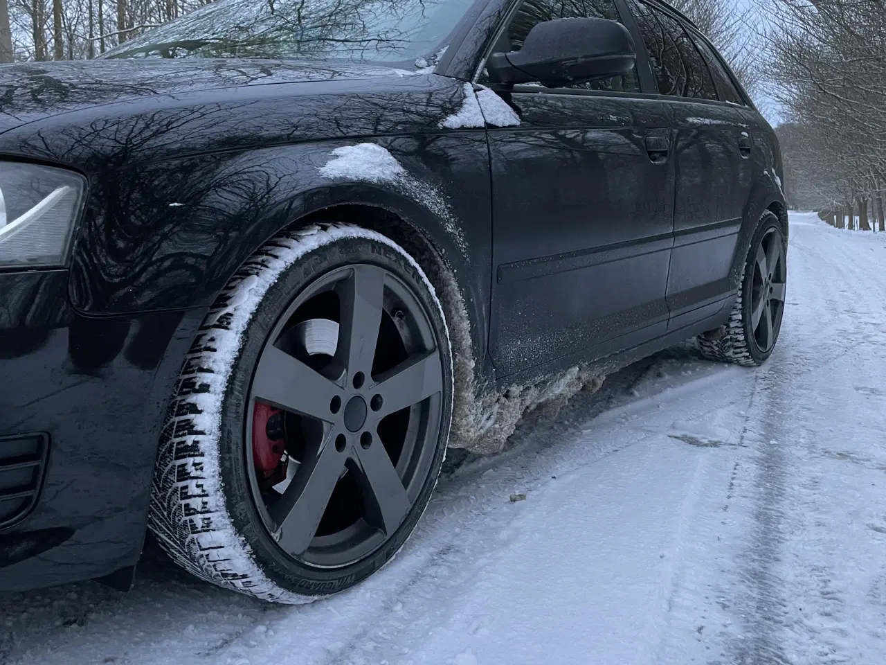 Billede 3 - Audi A3 8P 2.0 TDI Quattro – Veludstyret & velkøre