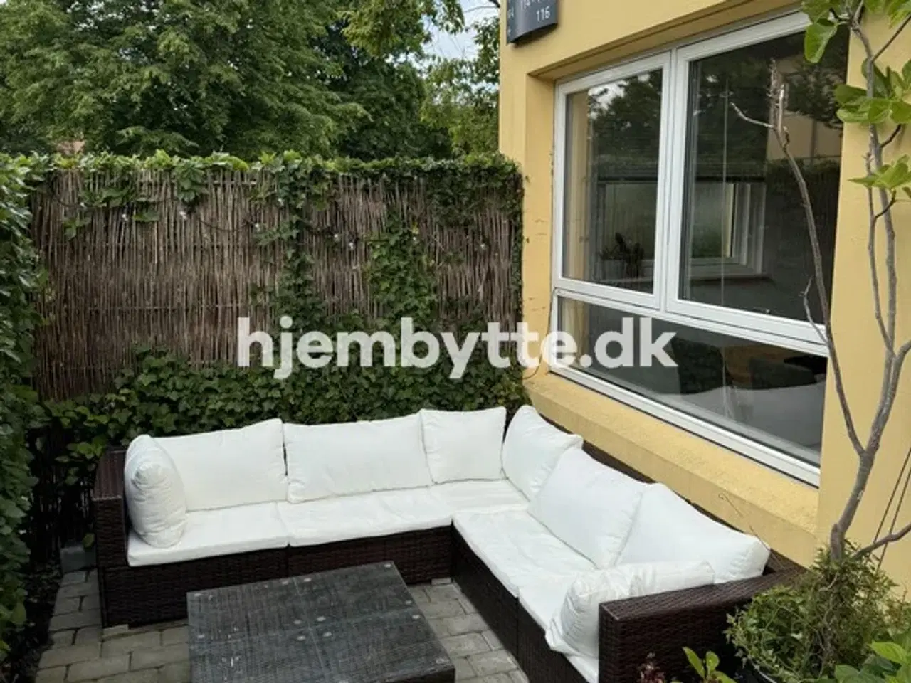 Billede 4 - Hjembytte - Astilbehaven