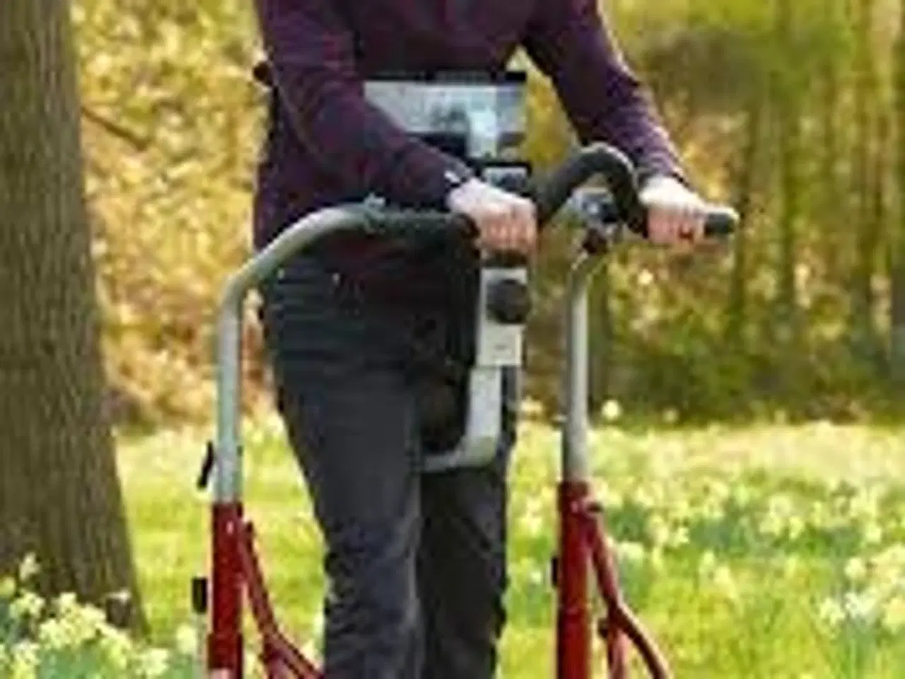 Billede 1 - Gangvogn