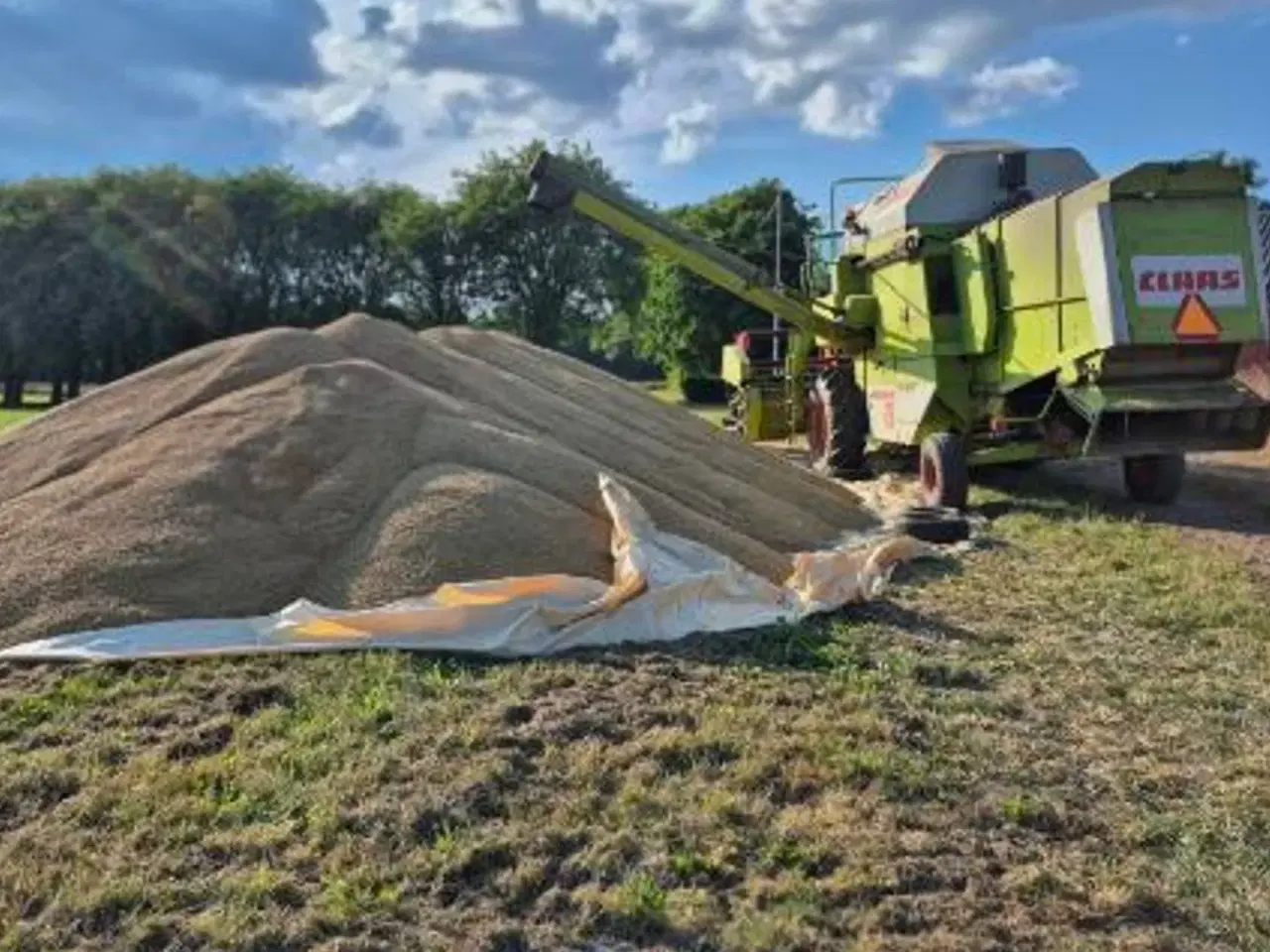 Billede 2 - CLAAS Dominator 76 med snitter og mercedes motor. 13 fods.